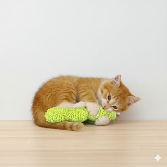 Chenille à l'herbe à chat