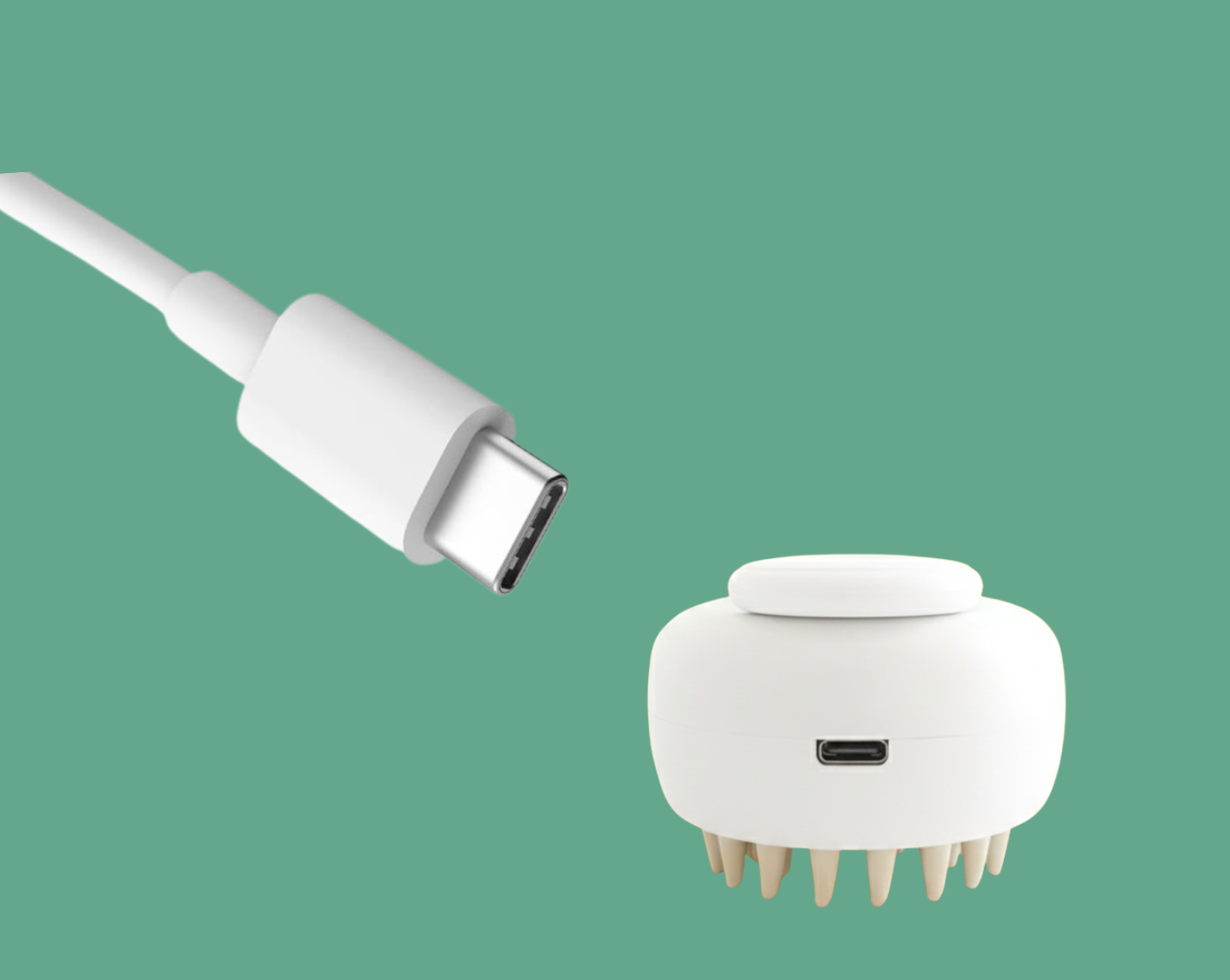 Brosse Vapeur pour Chien & Chat