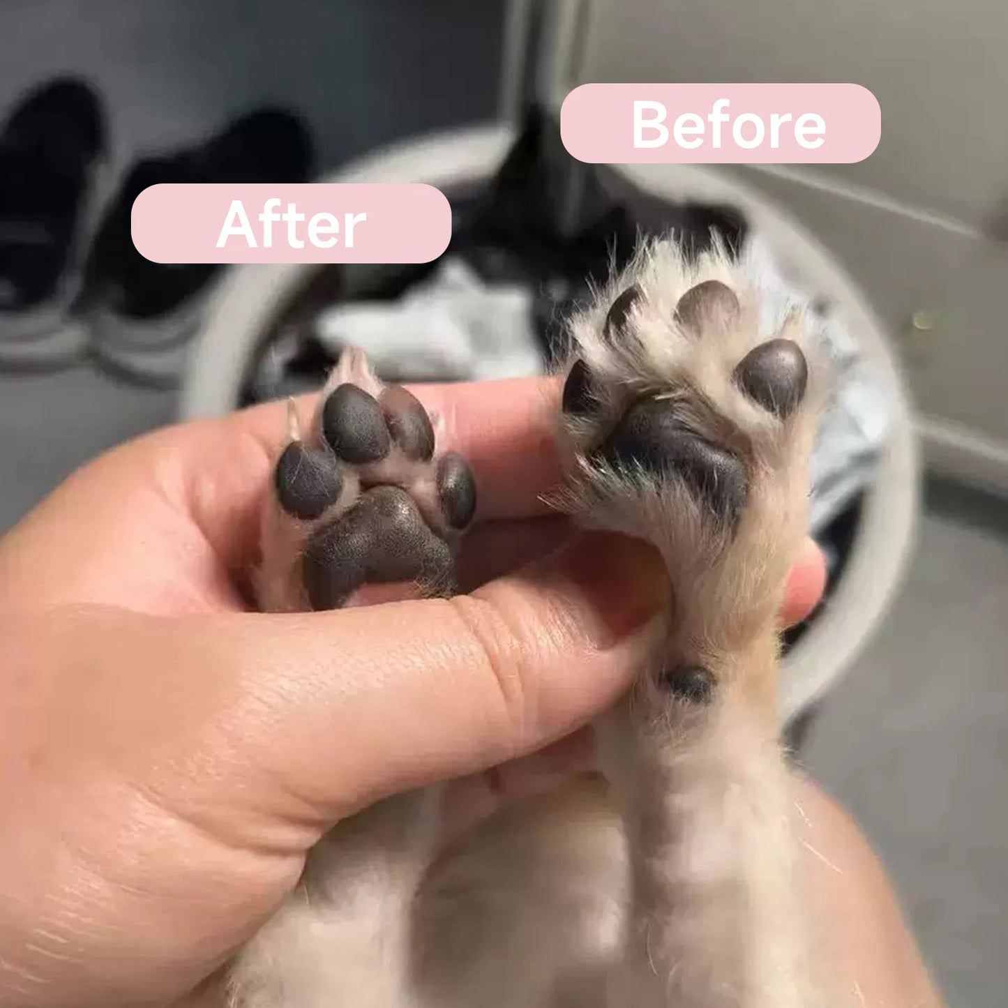 Tondeuse pattes Chien & Chat silencieuse