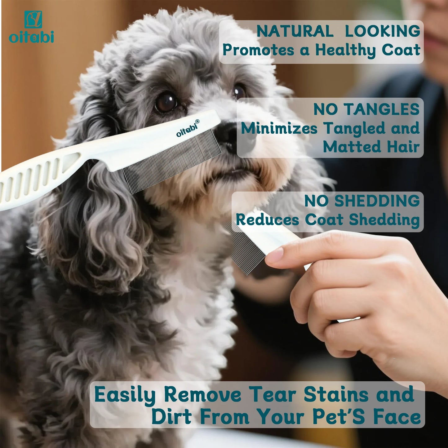 Peigne Anti-Puces & Anti-Poux pour Chiens et Chats