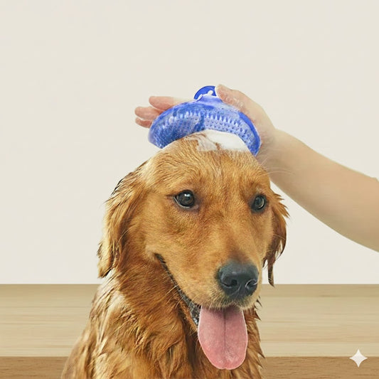 Brosse de Toilettage en Caoutchouc