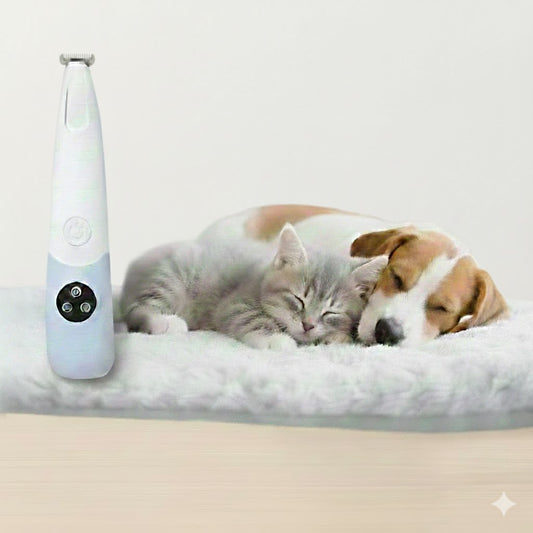 Tondeuse pattes animaux