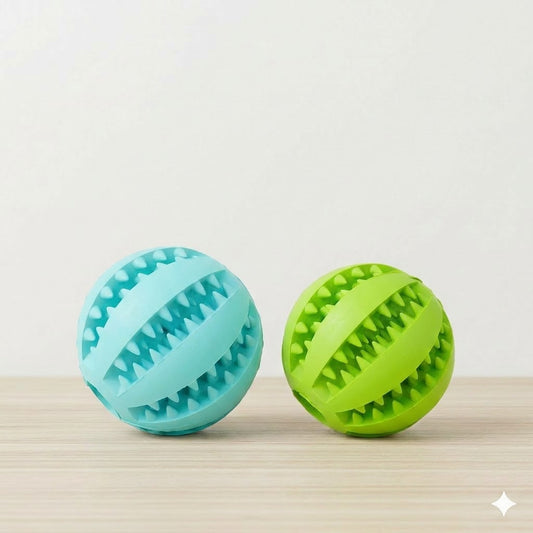 Balle mastication chien