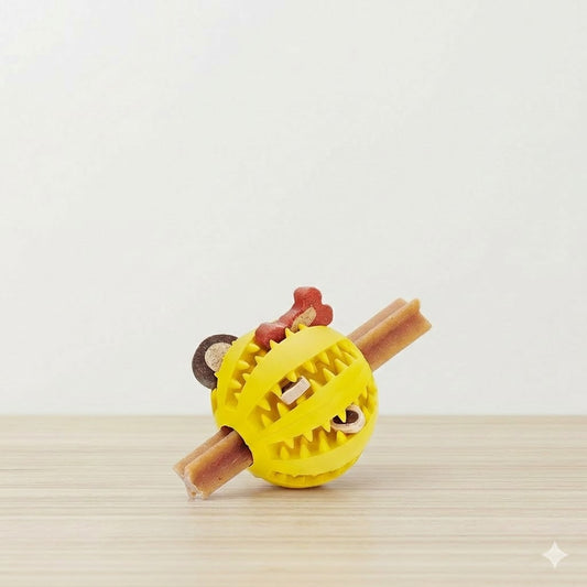 Balle mastication chien